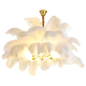 Ariston - Brass and Feather Chandelier