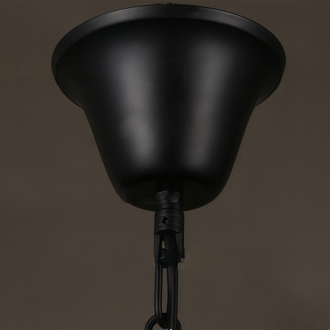 Iris - Clear Glass Dome Pendant Light