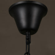 Iris - Clear Glass Dome Pendant Light