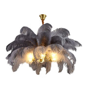 Ariston - Brass and Feather Chandelier