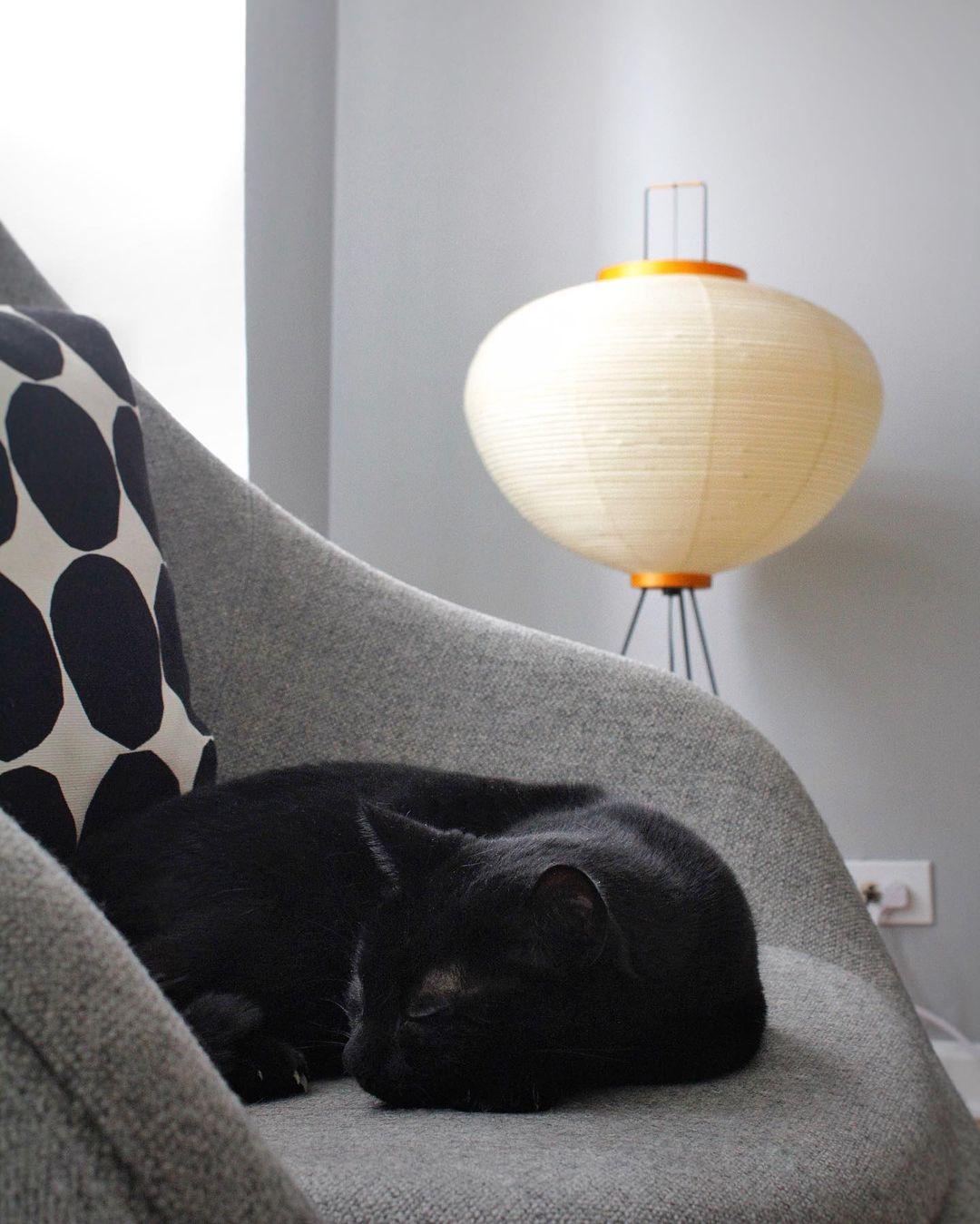 Phoibe - Washi Paper Lantern Floor Lamp