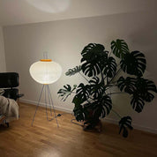 Phoibe - Washi Paper Lantern Floor Lamp