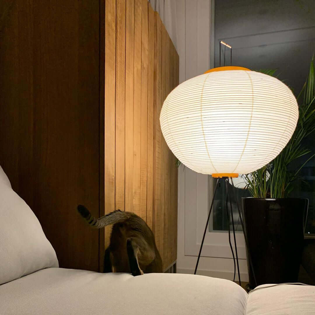 Phoibe - Washi Paper Lantern Floor Lamp