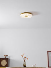 Lampetia - LED Flush Mount Ceiling Light
