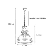 Iris - Clear Glass Dome Pendant Light
