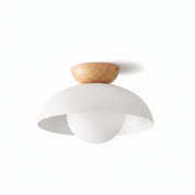 Eddie White and Woodgrain Sloped Ceiling Light