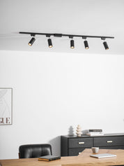 Chrysaor - Gilded Rail Track Light
