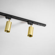 Chrysaor - Gilded Rail Track Light