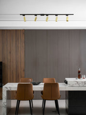 Chrysaor - Gilded Rail Track Light