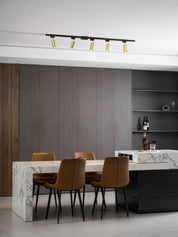 Chrysaor - Gilded Rail Track Light