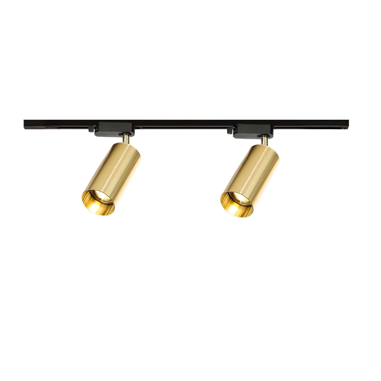 Chrysaor - Gilded Rail Track Light
