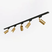 Chrysaor - Gilded Rail Track Light