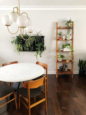 Peirene - Wrought Iron and Glass Globe Chandelier