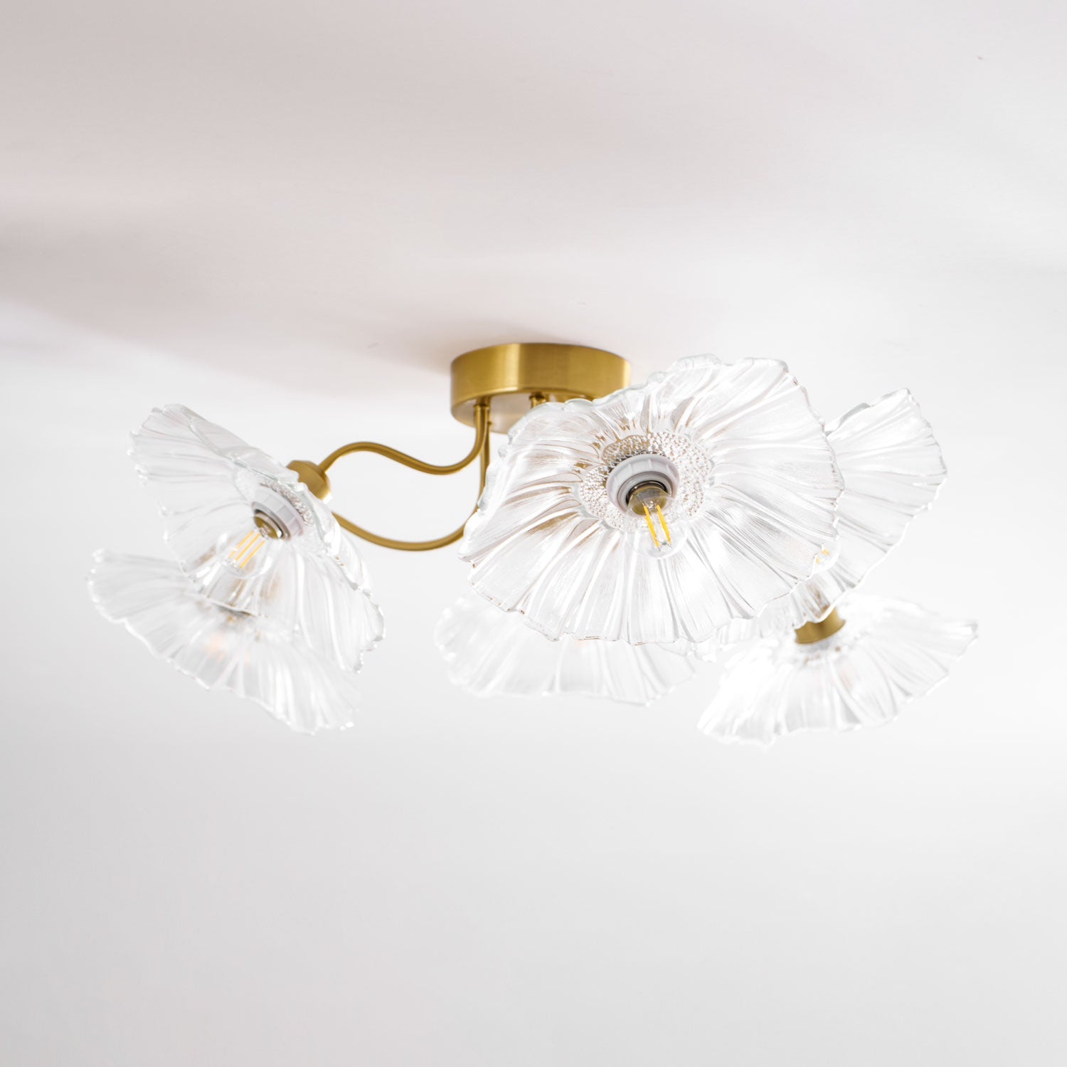 Oinone - Frosted Leaf Glass Ceiling Light