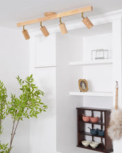 Philyra - Wood Rail Track Lighting