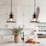 Iris - Clear Glass Dome Pendant Light