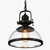 Iris - Clear Glass Dome Pendant Light