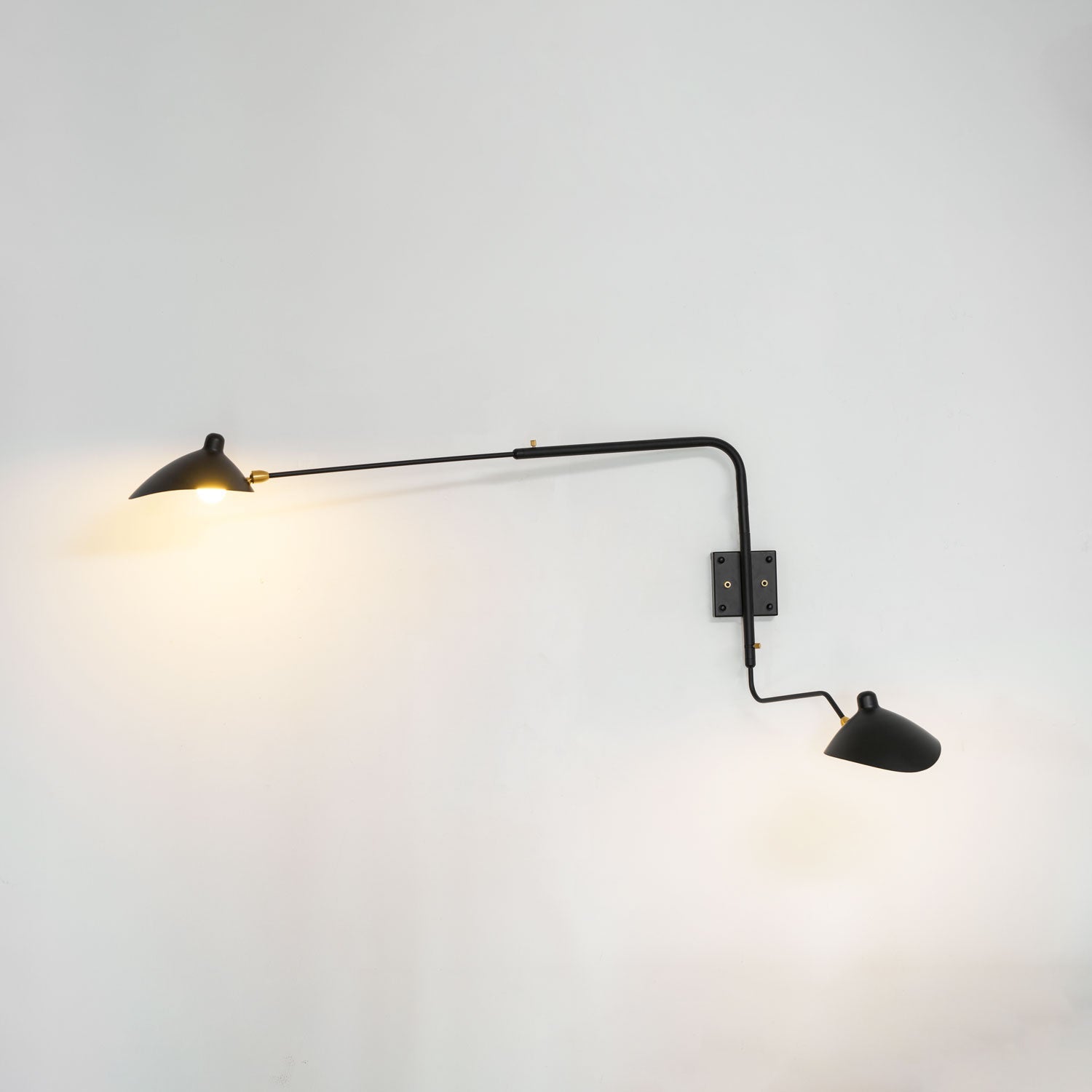 Alkippe - Long-Arm Rotating Wall Sconce
