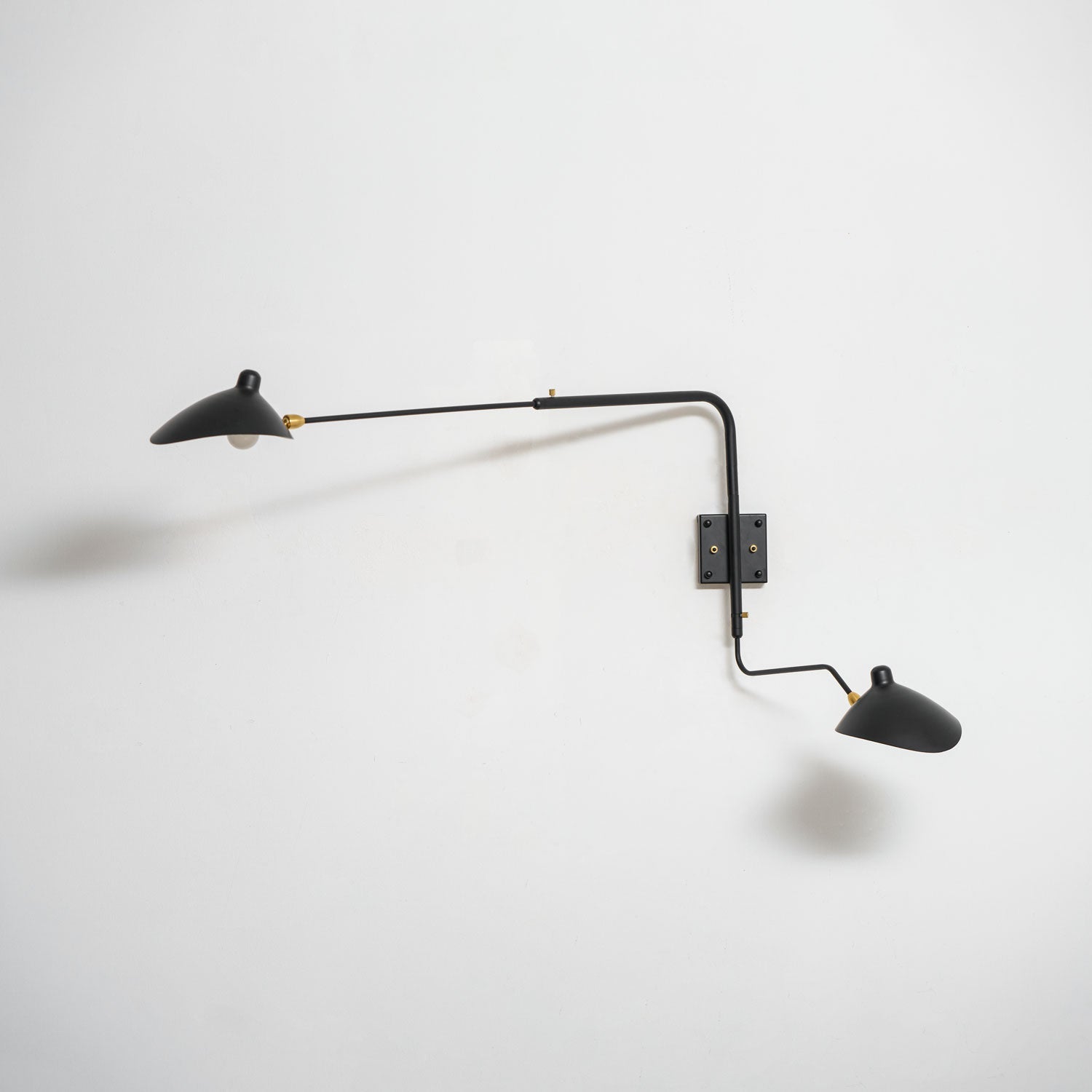 Alkippe - Long-Arm Rotating Wall Sconce