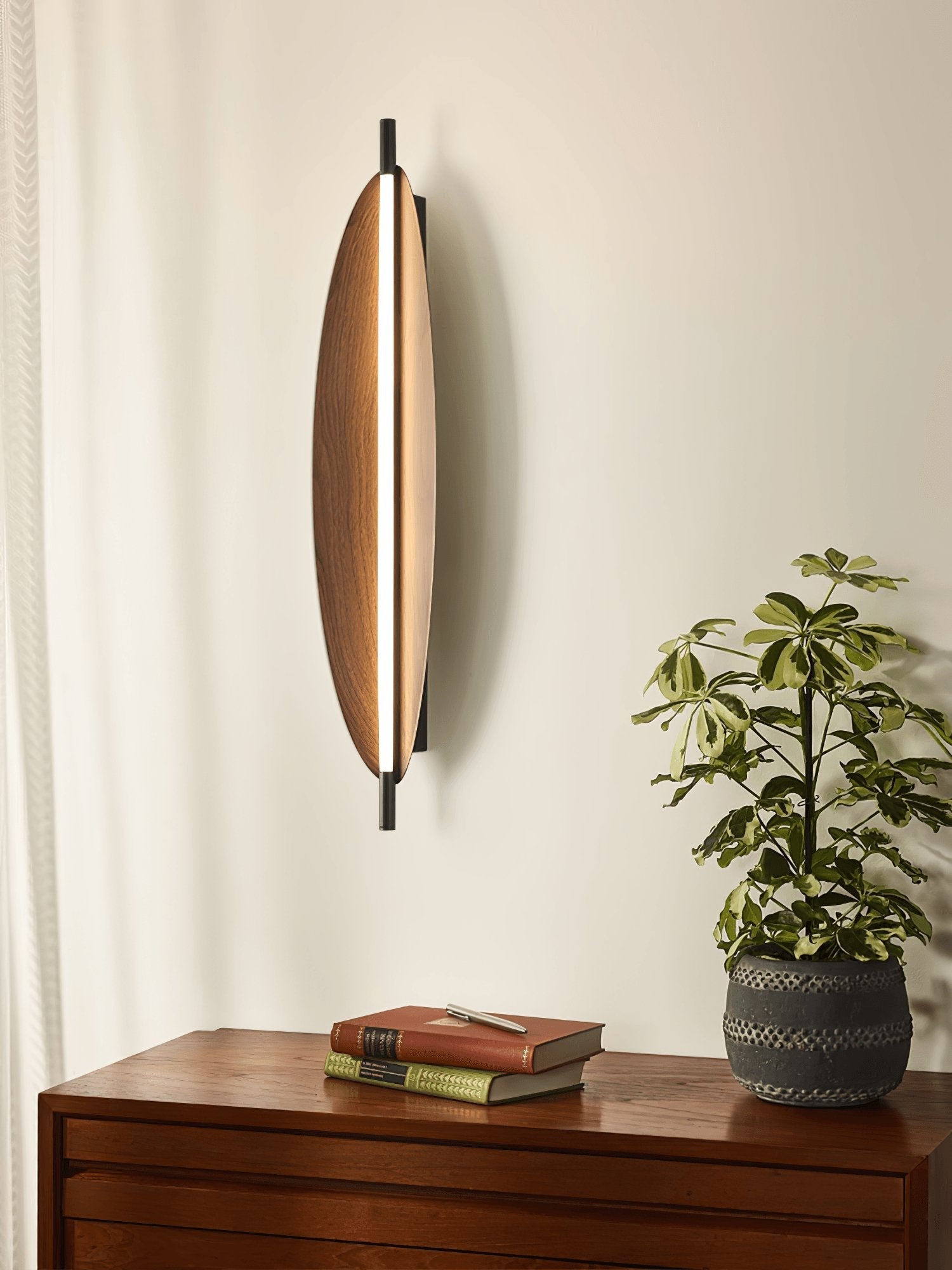 Linos - Walnut Grain Wall Sconce
