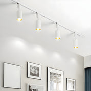 Telamon - Cylinder Track Light