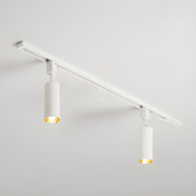 Telamon - Cylinder Track Light