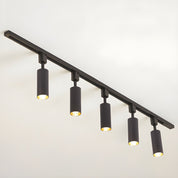 Telamon - Cylinder Track Light