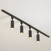 Telamon - Cylinder Track Light