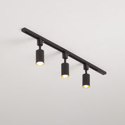 Telamon - Cylinder Track Light