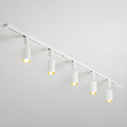Telamon - Cylinder Track Light