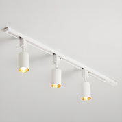 Telamon - Cylinder Track Light