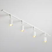 Telamon - Cylinder Track Light
