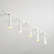 Telamon - Cylinder Track Light