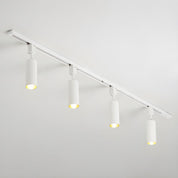 Telamon - Cylinder Track Light