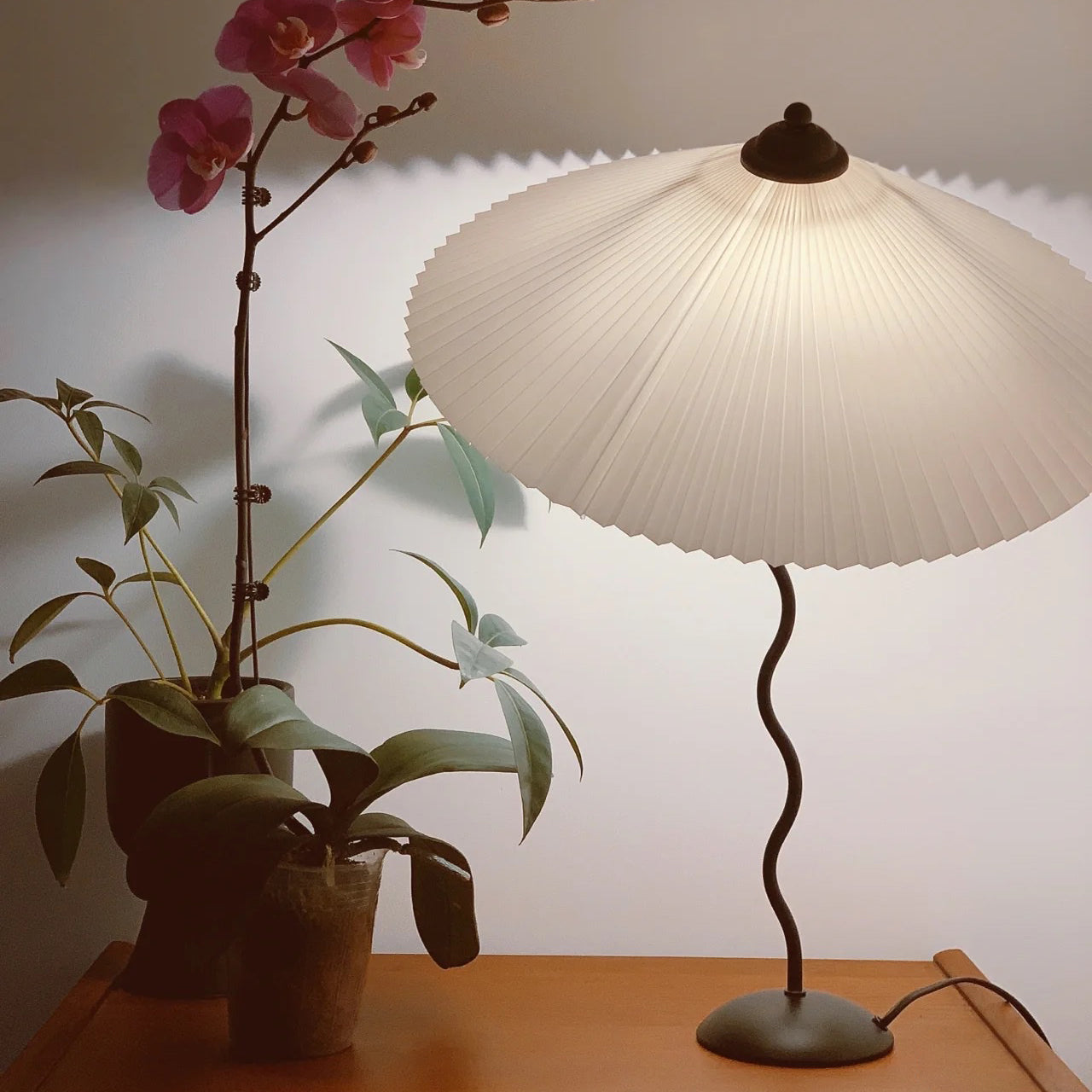 Oreithyia - Wavy Stem Pleated Shade Table Lamp