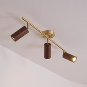 Pyrrhos - Adjustable Brass and Wood Track Light
