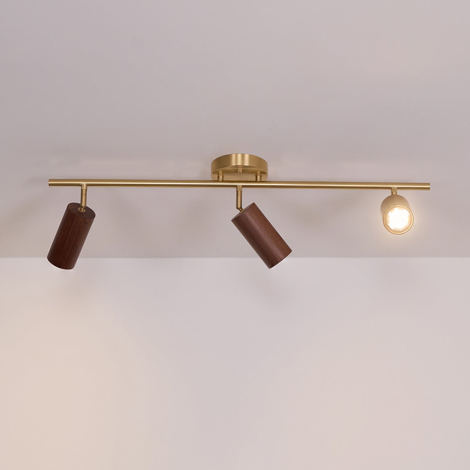 Pyrrhos - Adjustable Brass and Wood Track Light