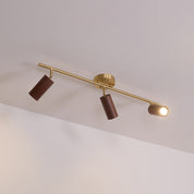 Pyrrhos - Adjustable Brass and Wood Track Light