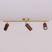 Pyrrhos - Adjustable Brass and Wood Track Light
