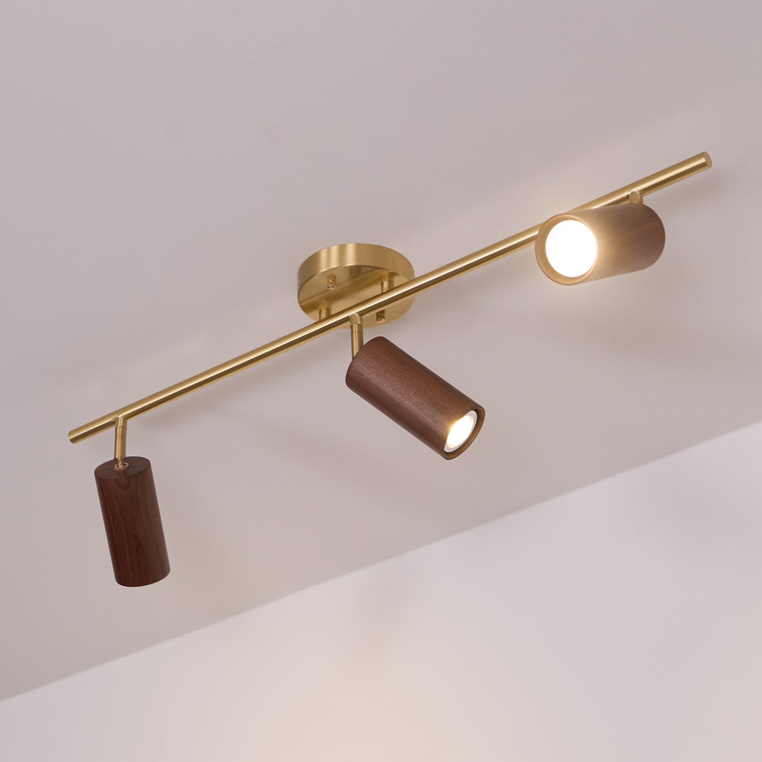 Pyrrhos - Adjustable Brass and Wood Track Light
