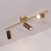 Pyrrhos - Adjustable Brass and Wood Track Light