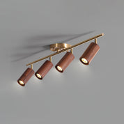 Pyrrhos - Adjustable Brass and Wood Track Light