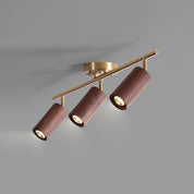 Pyrrhos - Adjustable Brass and Wood Track Light