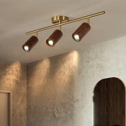 Pyrrhos - Adjustable Brass and Wood Track Light