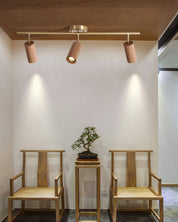 Pyrrhos - Adjustable Brass and Wood Track Light