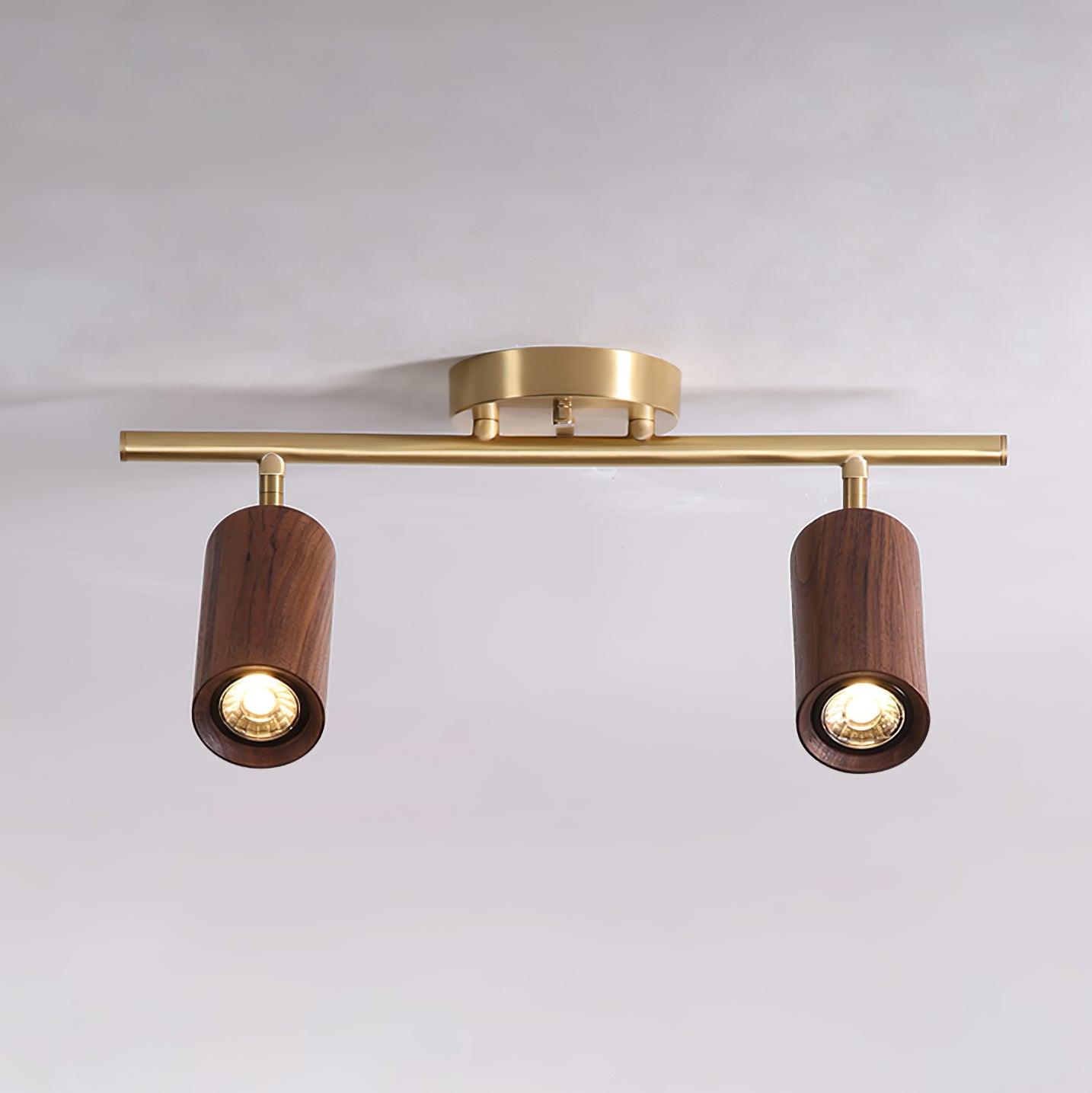 Pyrrhos - Adjustable Brass and Wood Track Light
