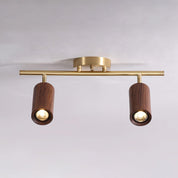 Pyrrhos - Adjustable Brass and Wood Track Light
