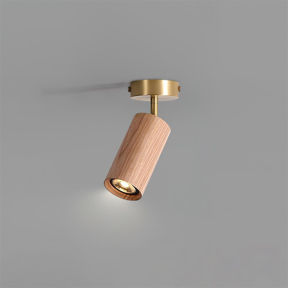 Pyrrhos - Adjustable Brass and Wood Track Light