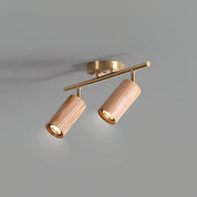 Pyrrhos - Adjustable Brass and Wood Track Light