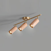 Pyrrhos - Adjustable Brass and Wood Track Light